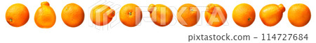 Group of oranges and mandarins isolated on white background. 114727684
