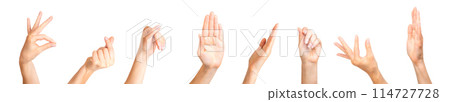 Set of woman hands showing different gestures, pointing and showing signs isolated on white background 114727728