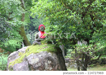 Kegonji Temple on Mount Yagikumi in early summer 32 (Yagikumi, Ibigawa-cho, Ibi-gun, Gifu Prefecture: 33rd Kannon Pilgrimage in the Western Provinces) 114727969