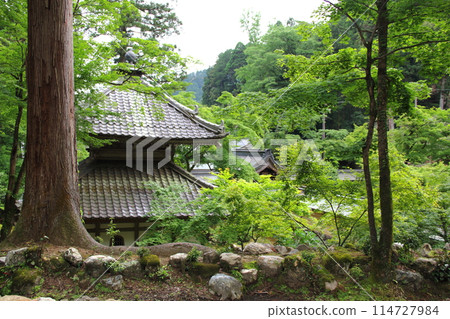 初夏谷山華嚴寺39(岐阜縣揖斐郡揖斐川町谷雲:西國第33觀世音聖地) 初夏谷山華嚴寺39(岐阜縣揖斐郡揖斐川町谷雲:西國第33觀世音聖地) 114727984