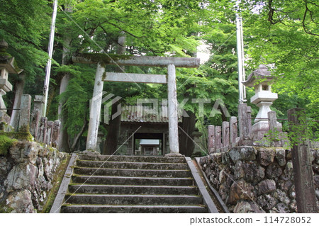 Early summer at Kegonji Temple on Mt. Yagikumi (Yagikumi, Ibigawa-cho, Ibi-gun, Gifu Prefecture: 33rd Kannon Pilgrimage in the Western Provinces) Early summer at Kegonji Temple on Mt. Yagikumi (Yagikumi, Ibigawa-cho, Ibi-gun, Gifu Prefecture: 33rd Kannon Pilgrimage in the Western Provinces) 114728052