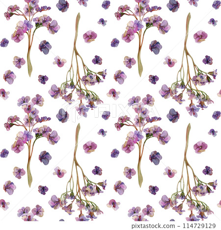 Hand drawn watercolor illustration boho botanical flowers leaves. Bergenia lungwort angelonia bacopa heliotrope, sea lavender. Seamless pattern isolated on white background. Design wedding, love cards 114729129