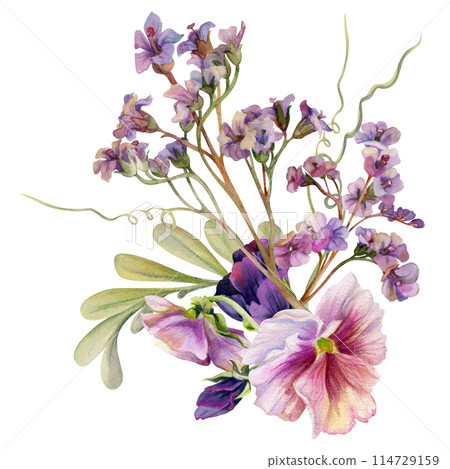 Hand drawn watercolor illustration botanical flowers leaves. Mauve pansy viola violet, willow eucalyptus branch, bergenia heliotrope lungwort, tendrils. Bouquet isolated white. Design wedding, cards Hand drawn watercolor illustration botanical flowers leaves. Mauve pansy viola violet, willow eucalyptus branch, bergenia heliotrope lungwort, tendrils. Bouquet isolated white. Design wedding, cards 114729159