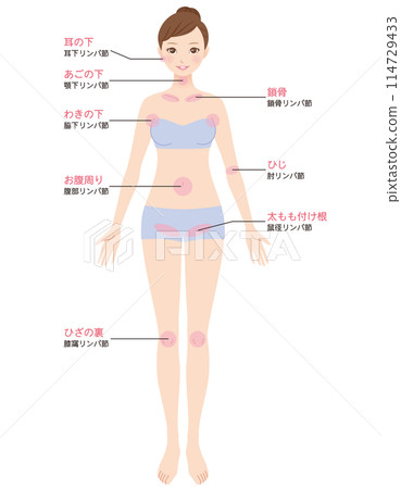 淋巴結按摩圖解 114729433