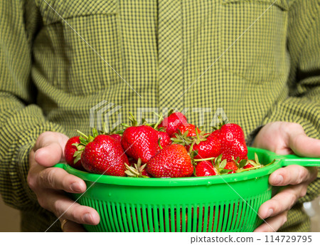 Full bowl of red juicy strawberries in a man's hand 114729795