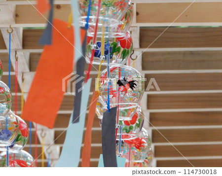 Goldfish and morning glories painted on a row of wind chimes Goldfish and morning glories painted on a row of wind chimes 114730018