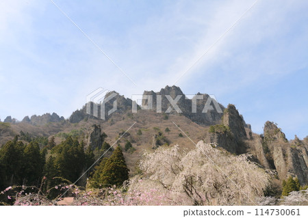 妙義山與櫻花奇石怪峰 114730061