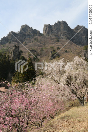 妙義山與櫻花奇石怪峰 114730062