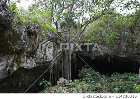 The entrance to the Saturno Cave in the province of Matanzas in Cuba 114730310