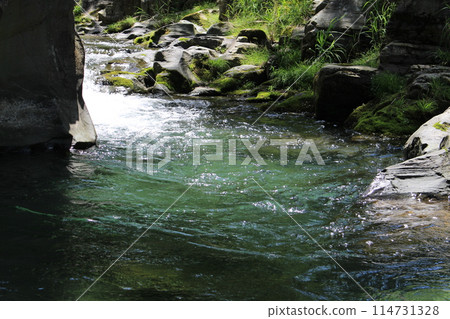 Jabui山谷中緩緩流淌的香魚河 Jabui山谷中緩緩流淌的香魚河 114731328