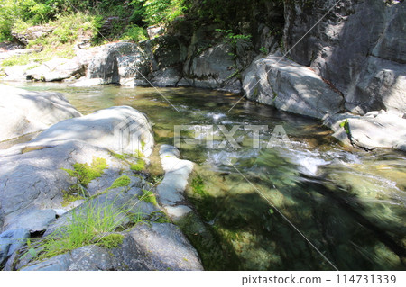 Jabui山谷清澈流淌的香魚河 Jabui山谷清澈流淌的香魚河 114731339