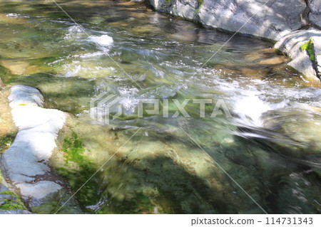 Jabui山谷清澈流淌的香魚河 Jabui山谷清澈流淌的香魚河 114731343