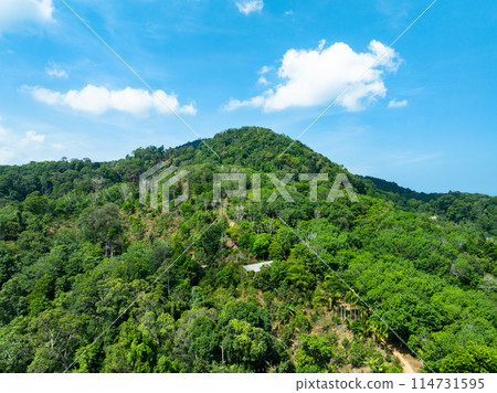 Aerial view Drone camera top view rainforest trees ecology with healthy environment concept and summer background,Green environment background Aerial view Drone camera top view rainforest trees ecology with healthy environment concept and summer background,Green environment background 114731595