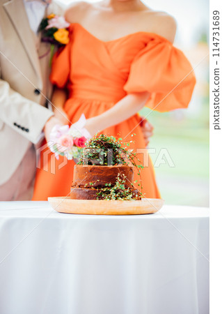 Wedding ceremony: Cutting the wedding cake Wedding ceremony: Cutting the wedding cake 114731689