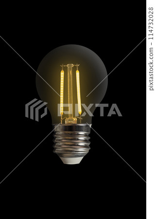 Portrait of light bulb lit on black background. Inspiration, glowing, imagination and solution concept. 114732028