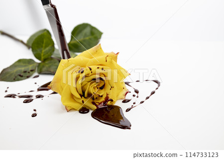 The beautiful yellow rose with knife on bloody background. The beautiful yellow rose with knife on bloody background. 114733123