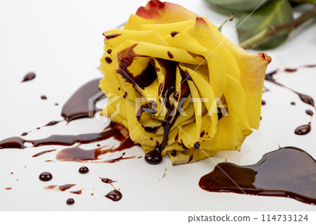Concept with yellow rose and red blood on white background. The beautiful rose on bloody background. Concept with yellow rose and red blood on white background. The beautiful rose on bloody background. 114733124