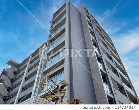 Exterior image of the condominium 114734037