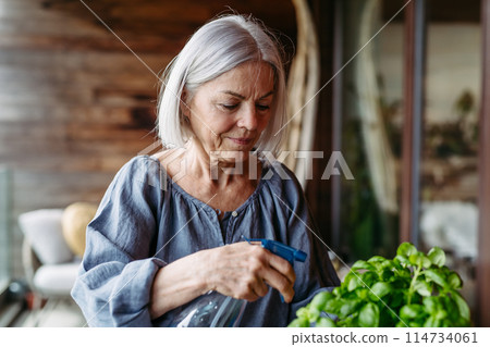 Portrait of beautiful mature woman taking care of plants on balcony. Spending free weekend at home. 114734061