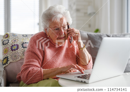 Senior woman working with laptop, shopping online, making call. Importance of digital literacy for elderly people. 114734141