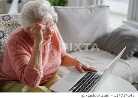 Senior woman learning to work with laptop, technology and internet. Importance of digital literacy for elderly people. 114734142