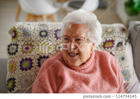 Portrait of elderly woman at home, having relaxing moment. Portrait of elderly woman at home, having relaxing moment. 114734145