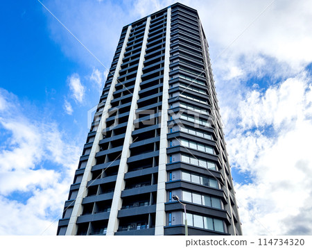 Image of the tower apartment building's exterior Image of the tower apartment building's exterior 114734320