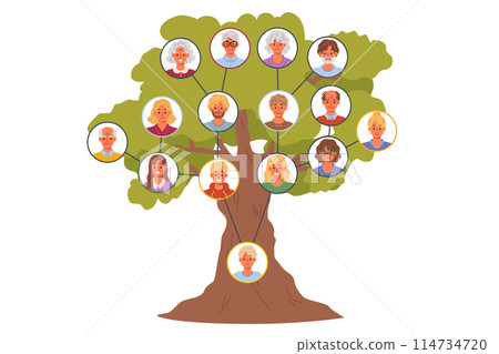 Family tree with different generations to track genus and connections between relatives 114734720