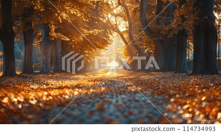 Tree lined pathway leading into a autumn colored park 114734993