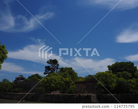 岡山城堡在夏天 岡山城堡在夏天 114735795