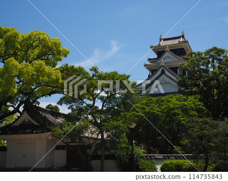 Okayama castle in the summer Okayama castle in the summer 114735843