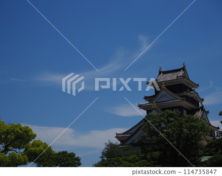 岡山城堡在夏天 114735847