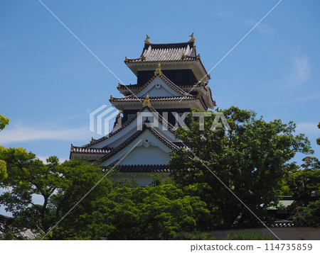 Okayama castle in the summer Okayama castle in the summer 114735859