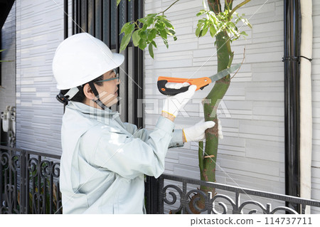 一名工人用鋸子砍下一棵正在生長的花園樹 114737711