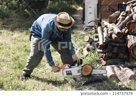Man cutting wood with a chainsaw 114737976