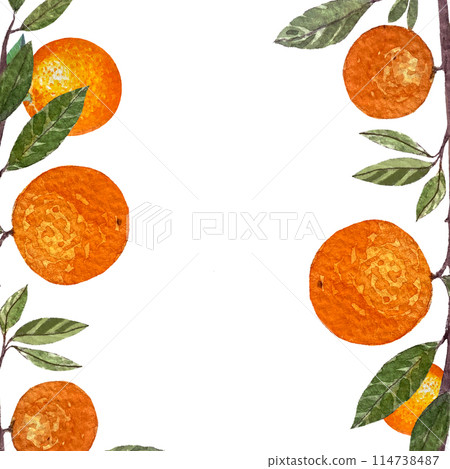 Orange fruit branch with leafs watercolor frame isolated on white background. High quality hand drawn art for food design, packages, restaurant menu, cards, natural organic food, label, logo and decor Orange fruit branch with leafs watercolor frame isolated on white background. High quality hand drawn art for food design, packages, restaurant menu, cards, natural organic food, label, logo and decor 114738487