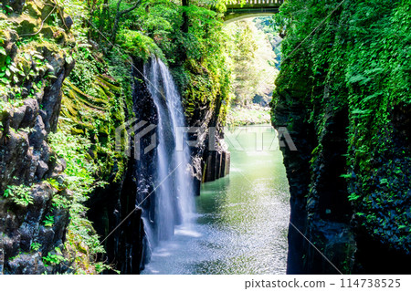 鮮綠的宮崎縣高千穗峽 114738525