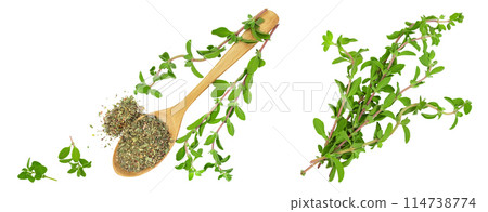 Oregano or marjoram leaves fresh and dry isolated on white background . Top view with copy space for your text. Flat lay 114738774