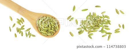Dried fennel seeds in wooden spoon isolated on white background . Top view. Flat lay Dried fennel seeds in wooden spoon isolated on white background . Top view. Flat lay 114738803