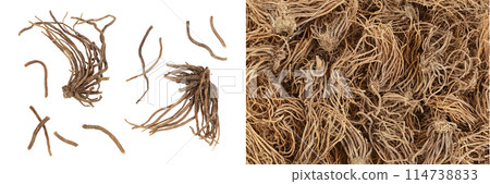 Dried Valerian root isolated on white background. Valeriana officinalis with full depth of field. Top view. Flat lay 114738833