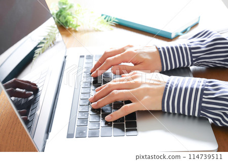 使用計算機工作的手 114739511