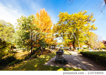 Marysville in Autumn Colours in Australia Marysville in Autumn Colours in Australia 114739950