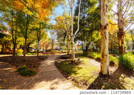 Marysville in Autumn Colours in Australia Marysville in Autumn Colours in Australia 114739969