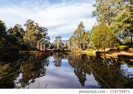 Marysville in Autumn Colours in Australia Marysville in Autumn Colours in Australia 114739971