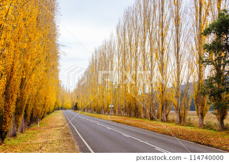 Gould Memorial Drive in Marysville in Australia Gould Memorial Drive in Marysville in Australia 114740000