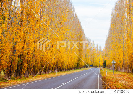 Gould Memorial Drive in Marysville in Australia Gould Memorial Drive in Marysville in Australia 114740002