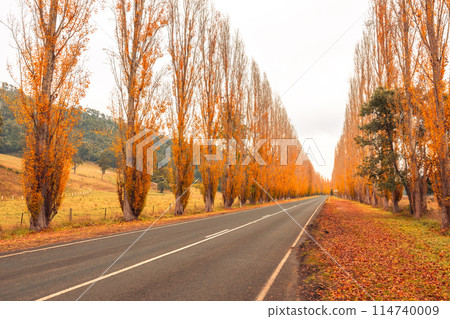 Gould Memorial Drive in Marysville in Australia 114740009