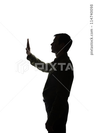 Portrait of a young man, side view 114740098