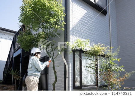 一名工人用鋸子砍下一棵正在生長的花園樹 114740581