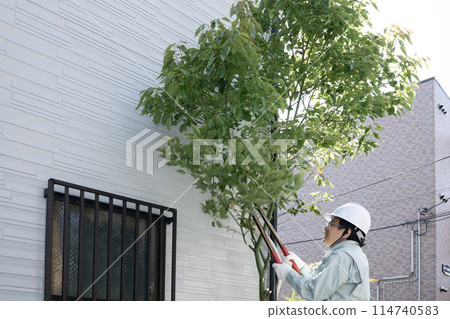 一名工人用鋸子砍下一棵正在生長的花園樹 一名工人用鋸子砍下一棵正在生長的花園樹 114740583